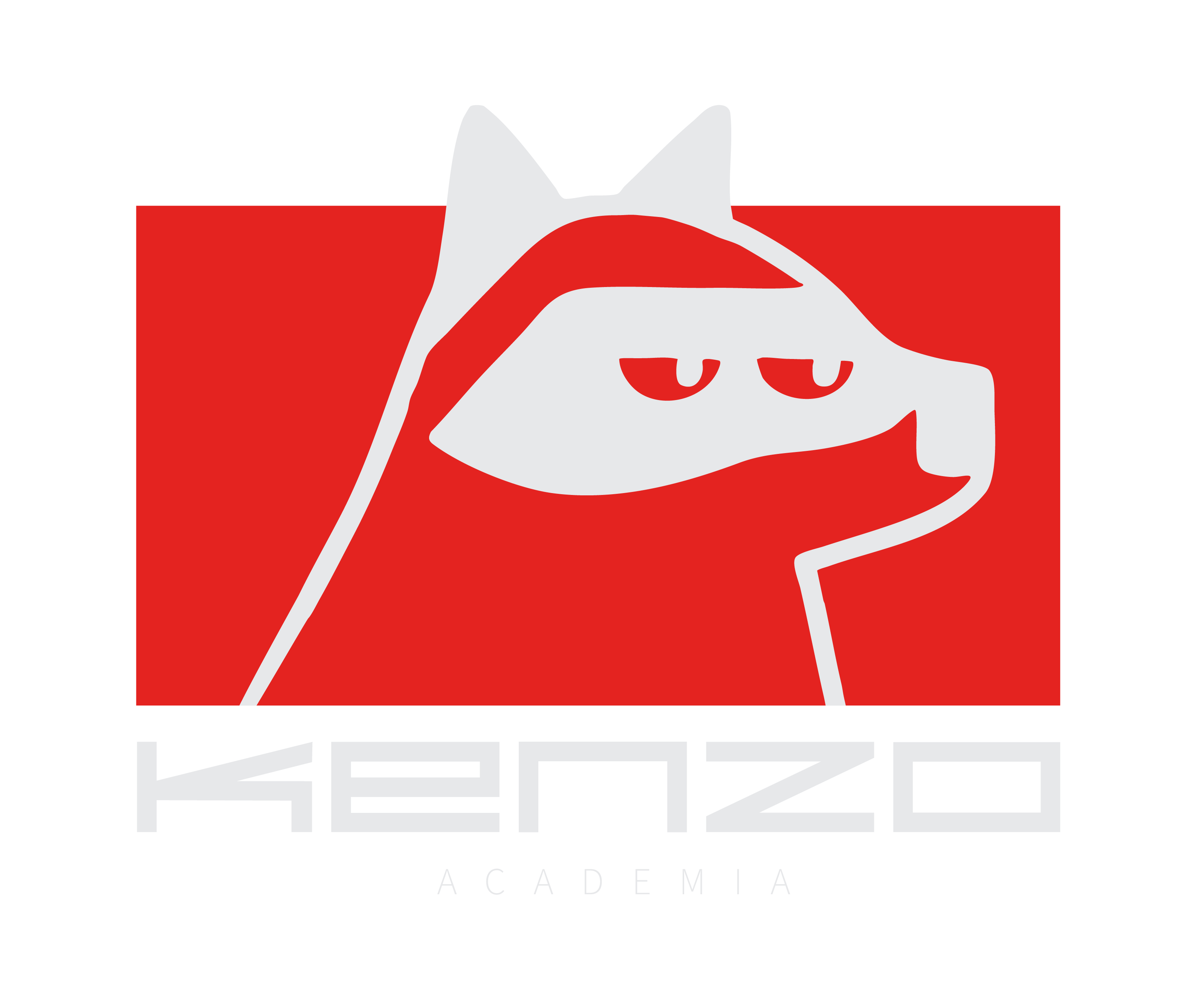 Logo Kenzo Academia